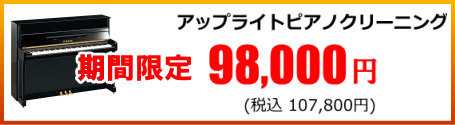 限定修理価格