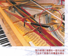 デュープレックス・スケール