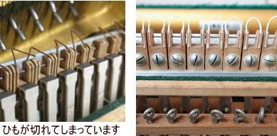 フレンジコード交換